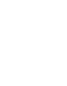 Icono